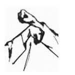 La methode de peinture one stroke